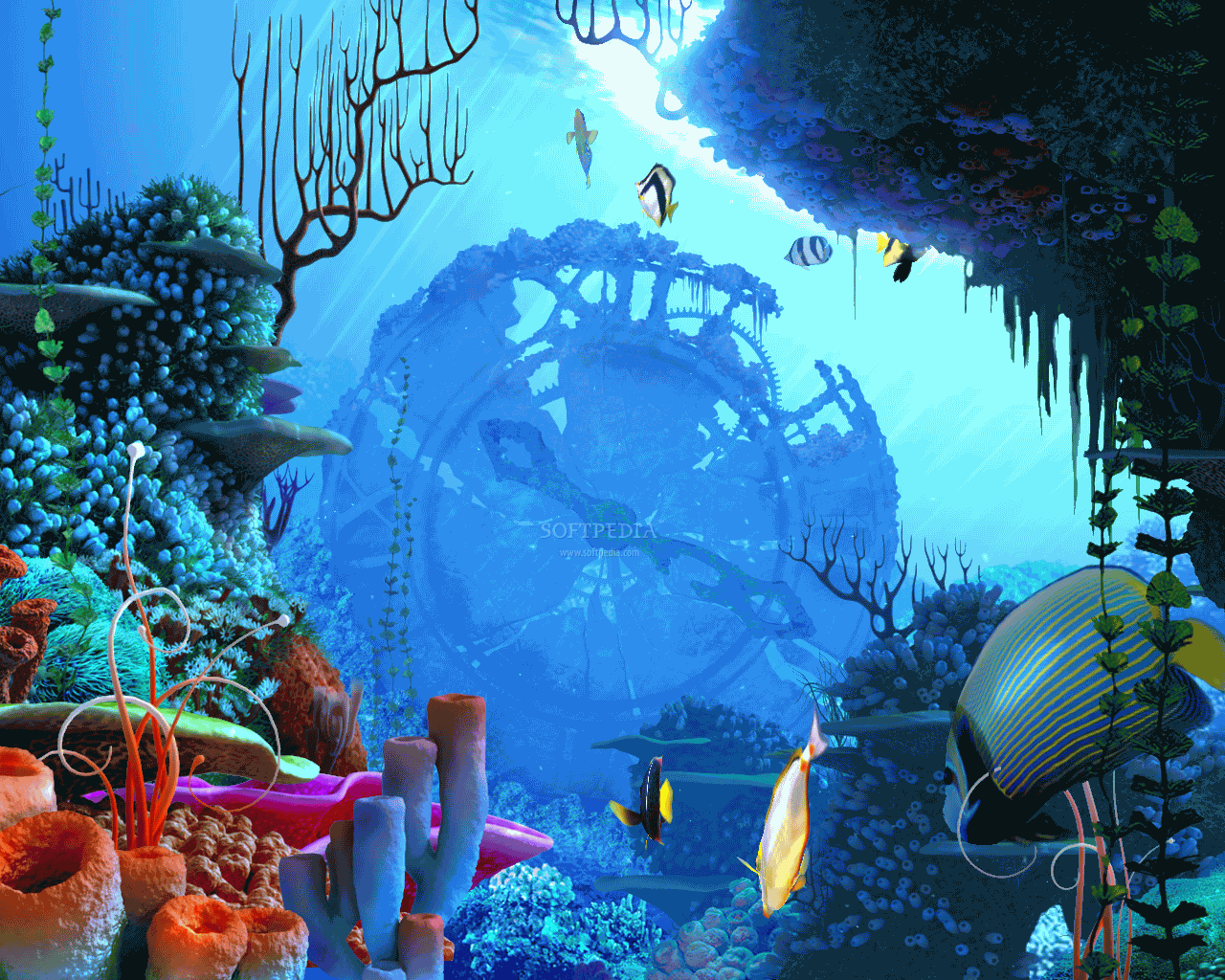 Coral Clock 3D Screensaver Logo