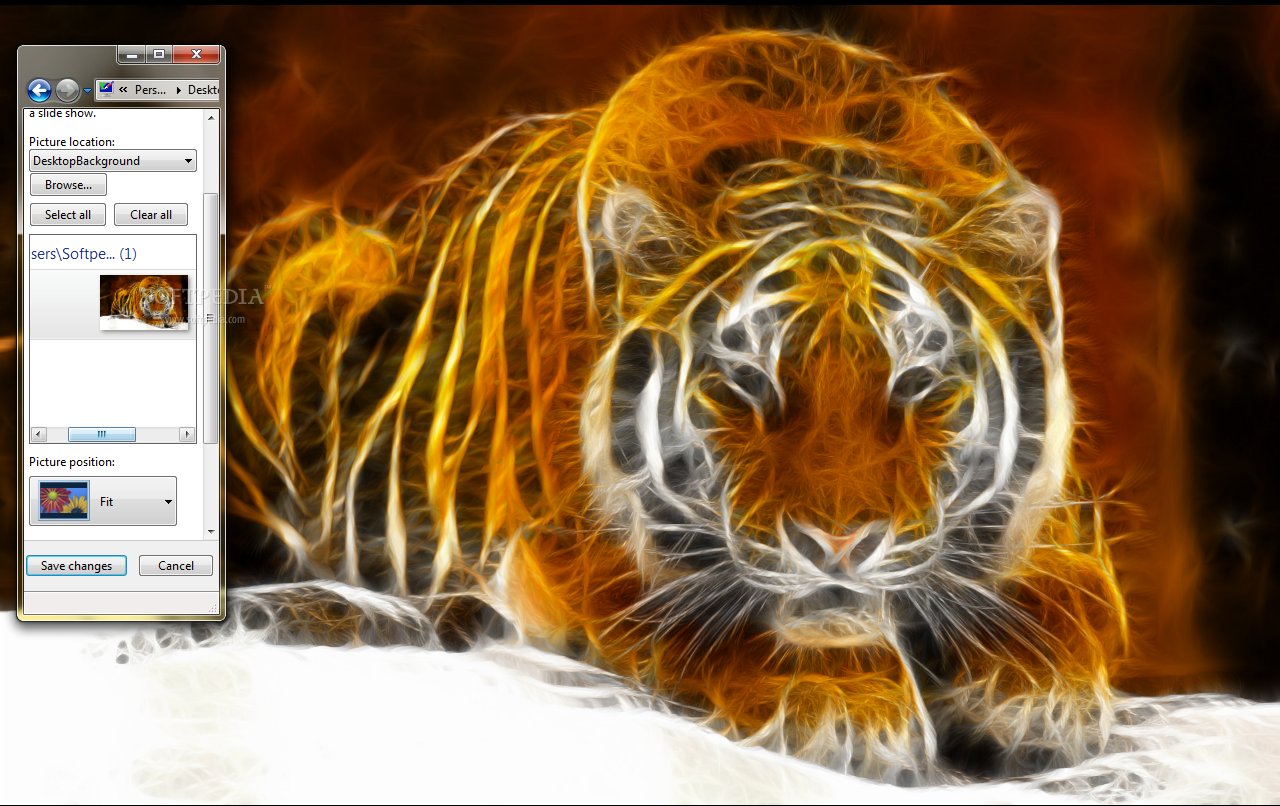 Digital Tiger Logo