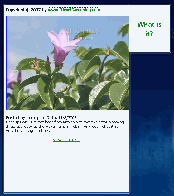 Screenshot 1