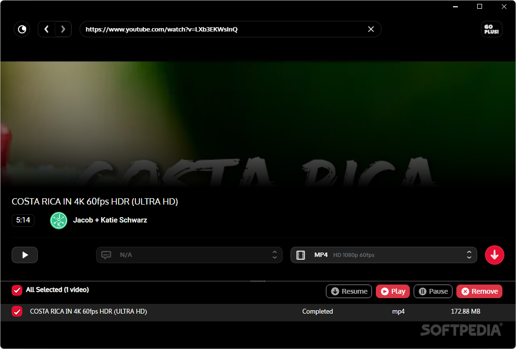 Photo #1 for Viddly YouTube Downloader