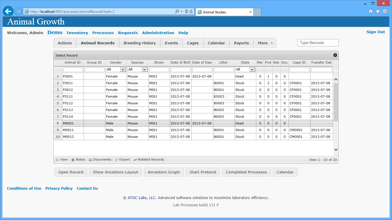 Screenshot 5