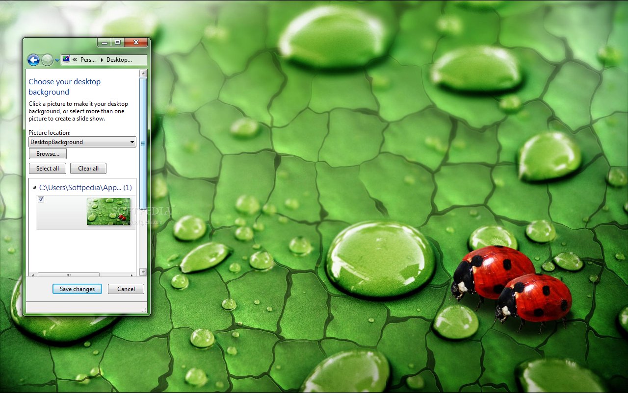 Screenshot 1