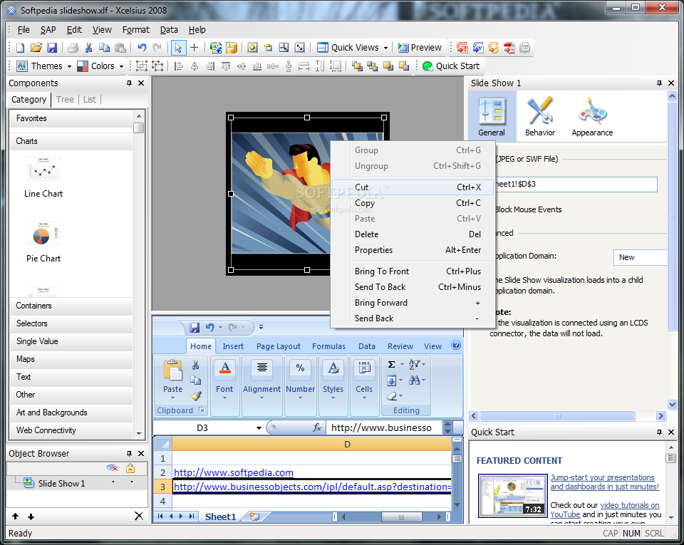 Photo #2 for SAP Crystal Reports Dashboard Design