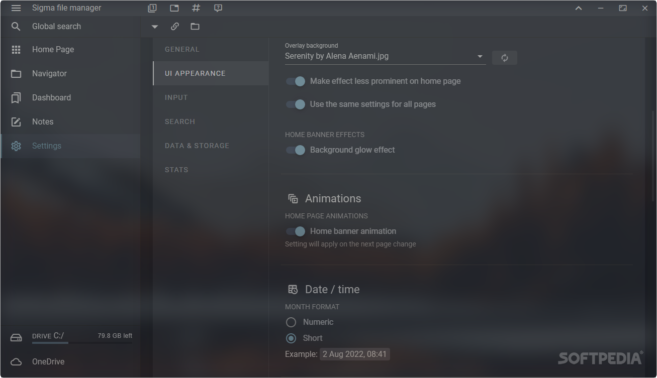 Screenshot 13