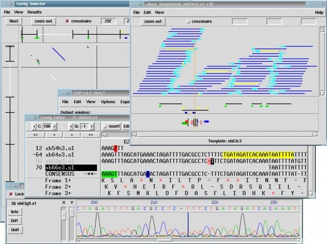 Screenshot 13