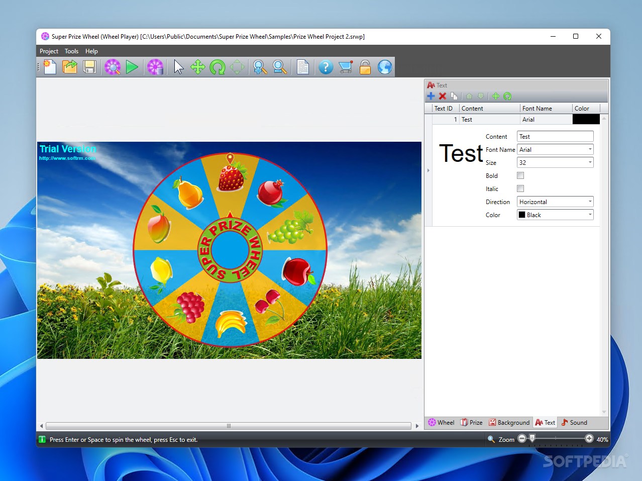 Screenshot 12