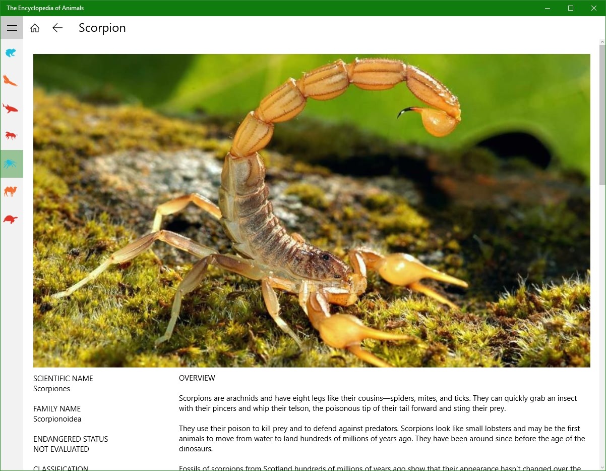 Screenshot 6