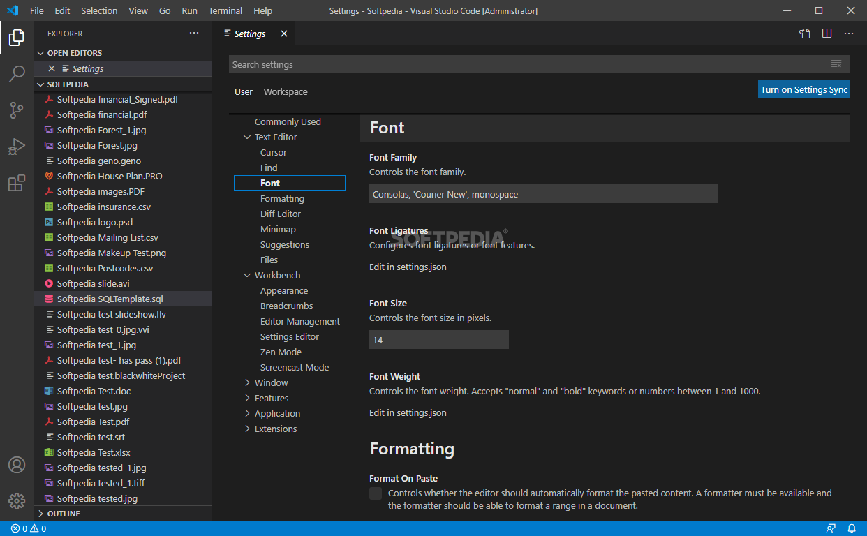 Photo #14 for Visual Studio Code Portable