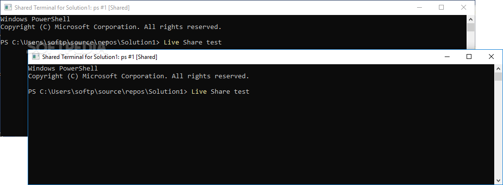 Photo #6 for Visual Studio Live Share