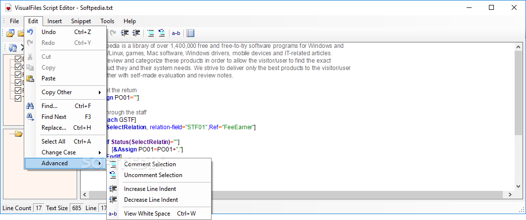 Photo #3 for VisualFiles Script Editor